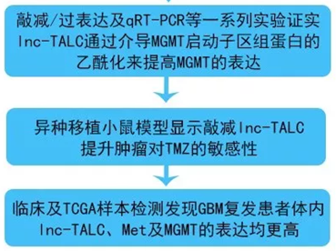 QQ 截图 20191204141757