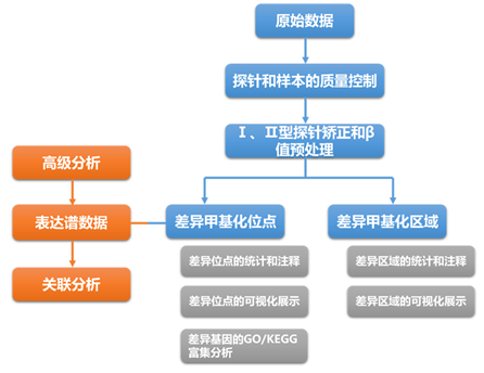 Illumina 甲基化芯片 850K 分析流程图