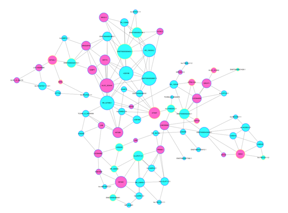 通过关键 lncRNA 的共表达 mRNA 预测出其功能