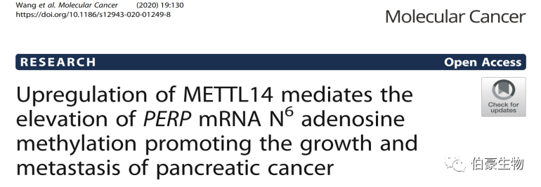 RNA m6a 甲基化测序 伯豪生物甲基化服务 