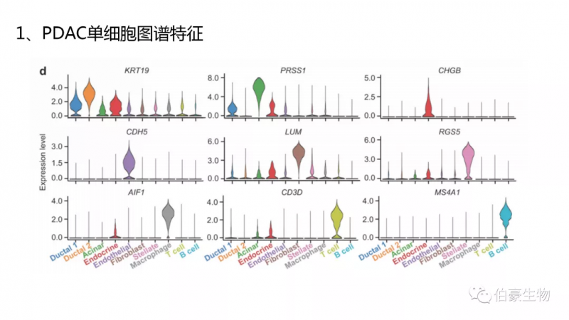  伯豪生物 单细胞测序服务 