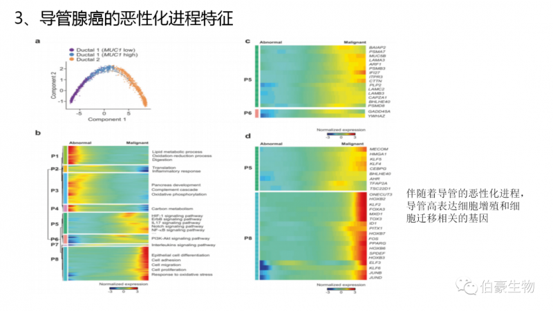 上海伯豪生物单细胞测序服务客户文章