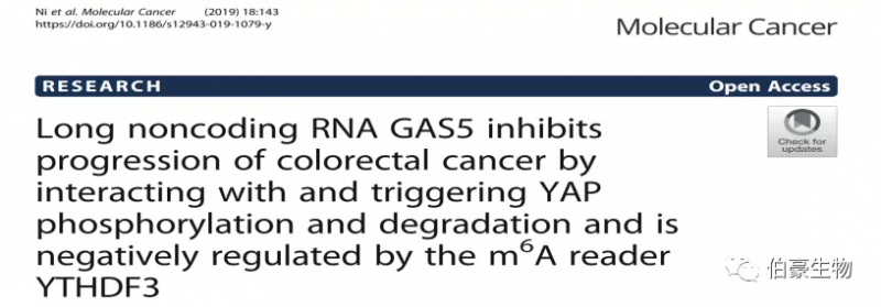 RNA 甲基化测序 m6a 甲基化测序 伯豪生物甲基化服务客户发文 