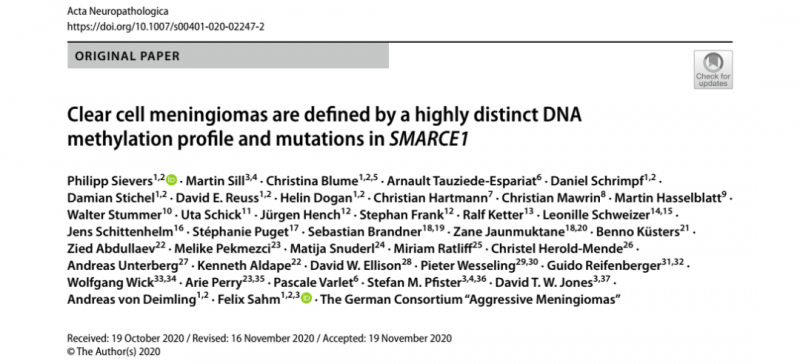 透明细胞脑膜瘤 DNA 甲基化研究