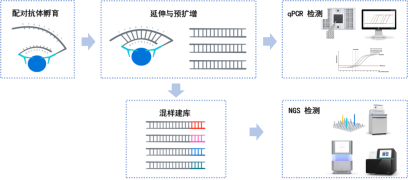 Olink 实验原理图 