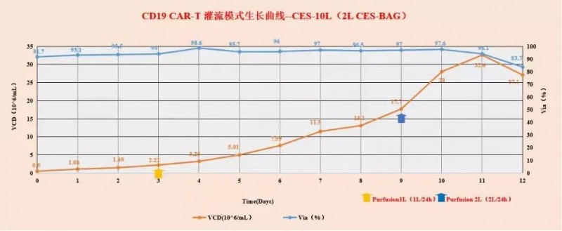 T 细胞在 MCMCulLymT-SFM10 中规模化培养