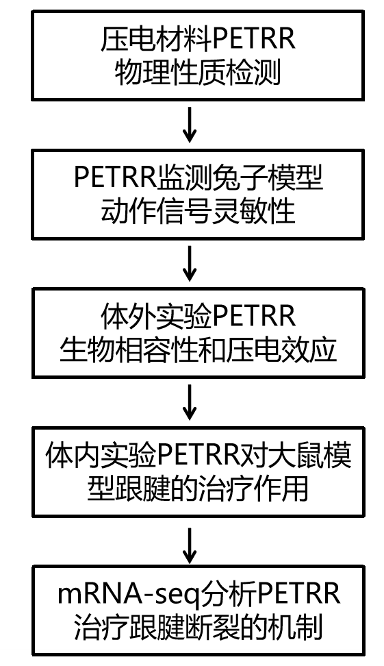  伯豪生物研究设计 mRNA-seq 项目文章 