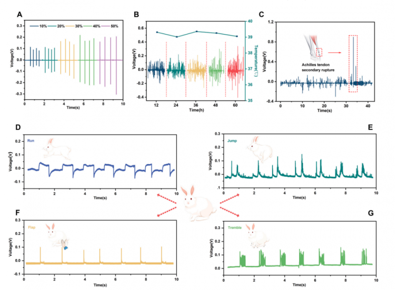 mRNA-seq 项目文章分析图 3