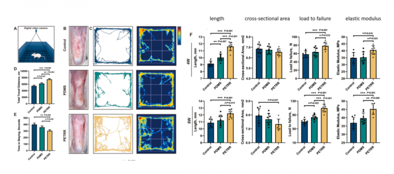 mRNA-seq 项目文章分析图 5