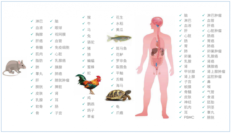  伯豪生物华大设备单细胞测序适用样本类型 