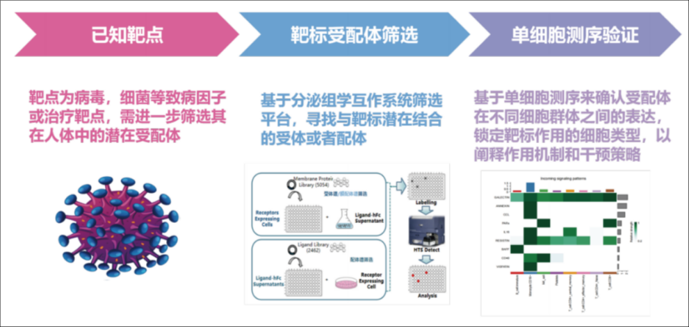 应用案例一