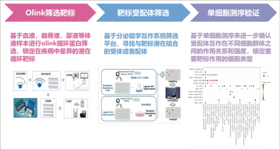 应用案例一
