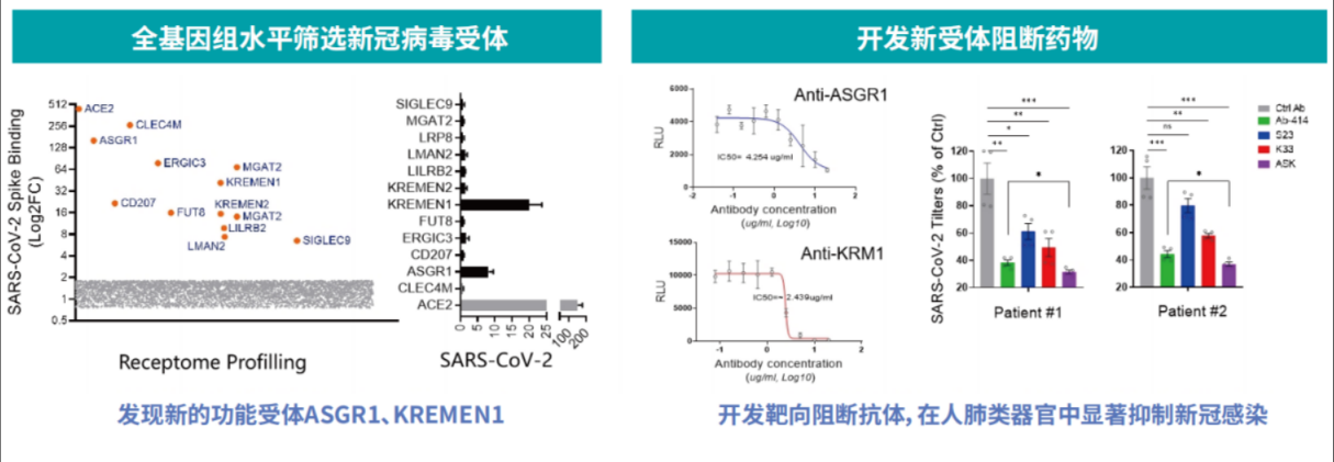 应用案例一