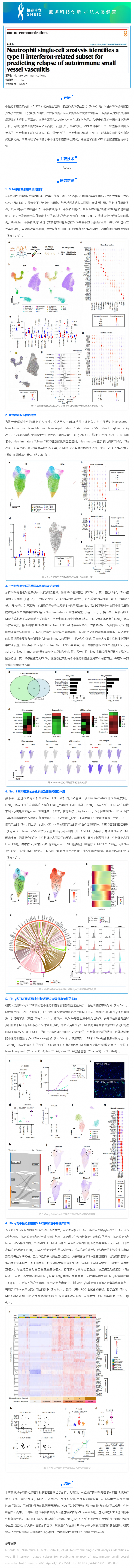 文献解读 _ 中性粒细胞单细胞分析确定了 II 型干扰素相关子集，用于预测自身免疫性小血管血管炎的复发