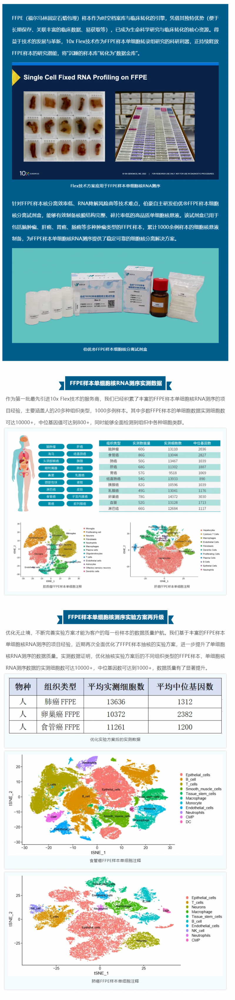 技术突破 _ FFPE 样本产出高质量单细胞数据的秘籍