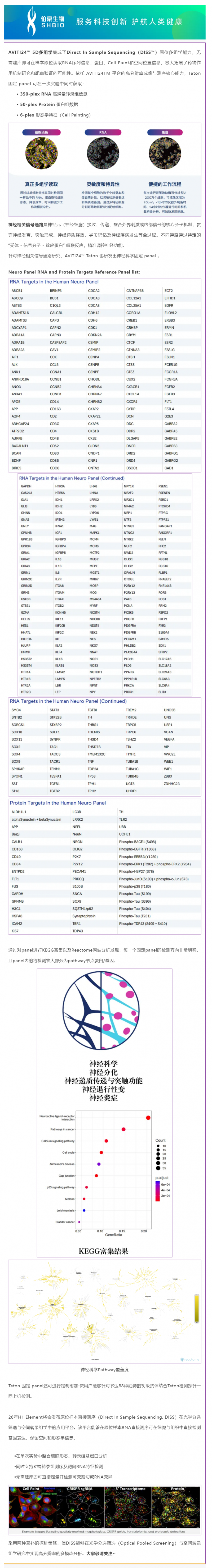 5D 原位多组学 AVITI24 靶向 panel——神经科学