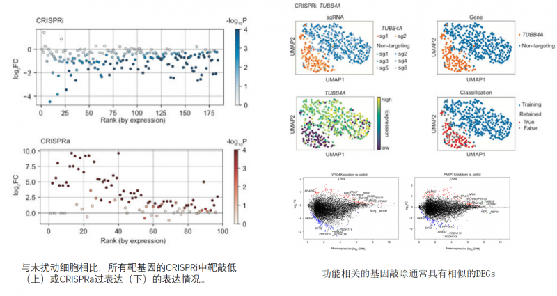  企业微信截图_17667425419735
