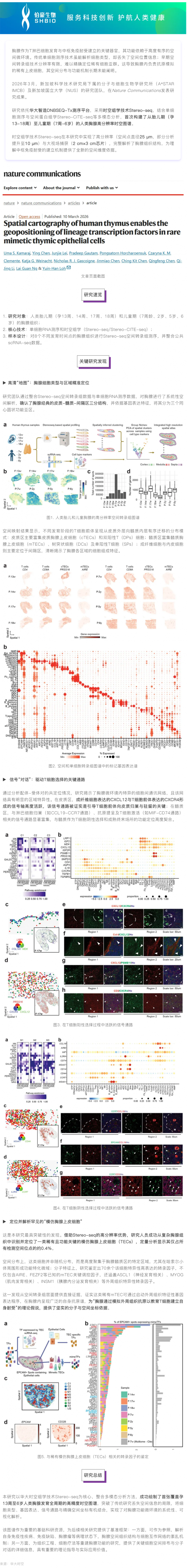 首个高分辨率人类胸腺时空图谱！Stereo-seq 助力揭秘罕见细胞调控网络
