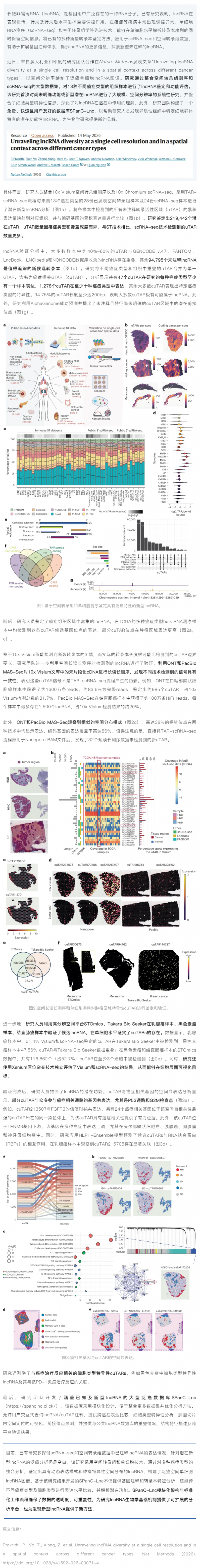 Nat Methods&nbsp;_ 首个泛癌空间单细胞 lncRNA 图谱成功绘制，覆盖 13 种癌症、22 万潜在 l